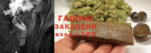 шишки Медногорск