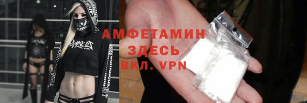 шишки Медногорск