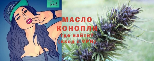 шишки Медногорск