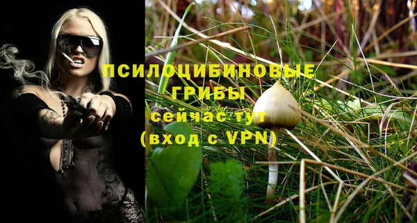 мяу мяу мука Медвежьегорск