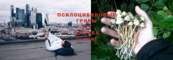 мяу мяу мука Медвежьегорск