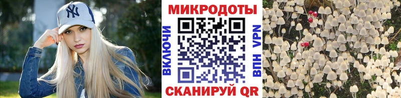 Галлюциногенные грибы Magic Shrooms  Елец 