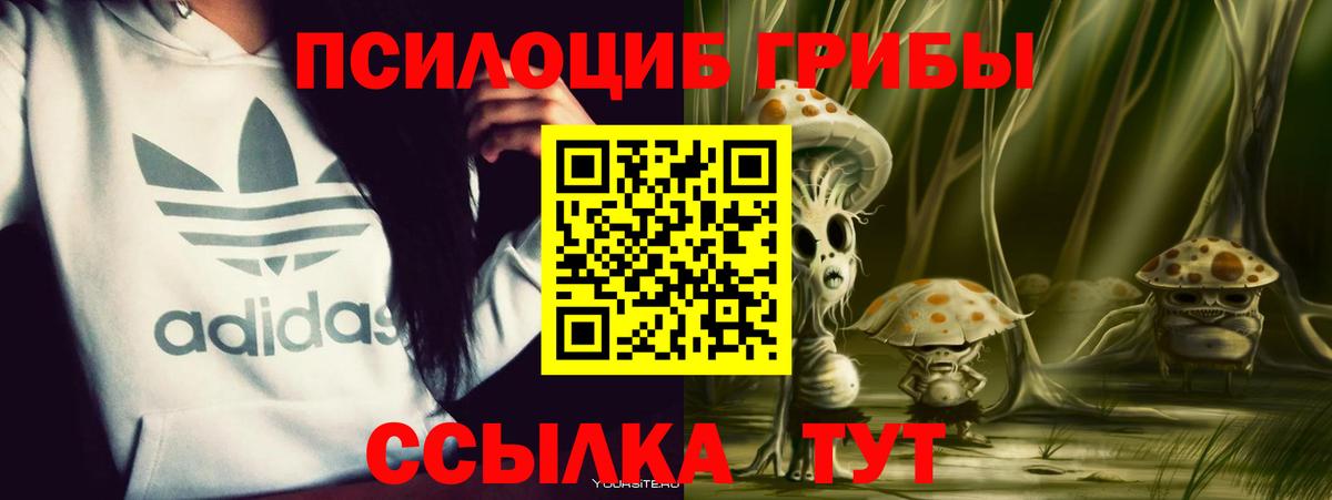 Псилоцибиновые грибы Magic Shrooms  Галлюциногенные грибы Psilocybine cubensis  Елец  Вход с VPN 